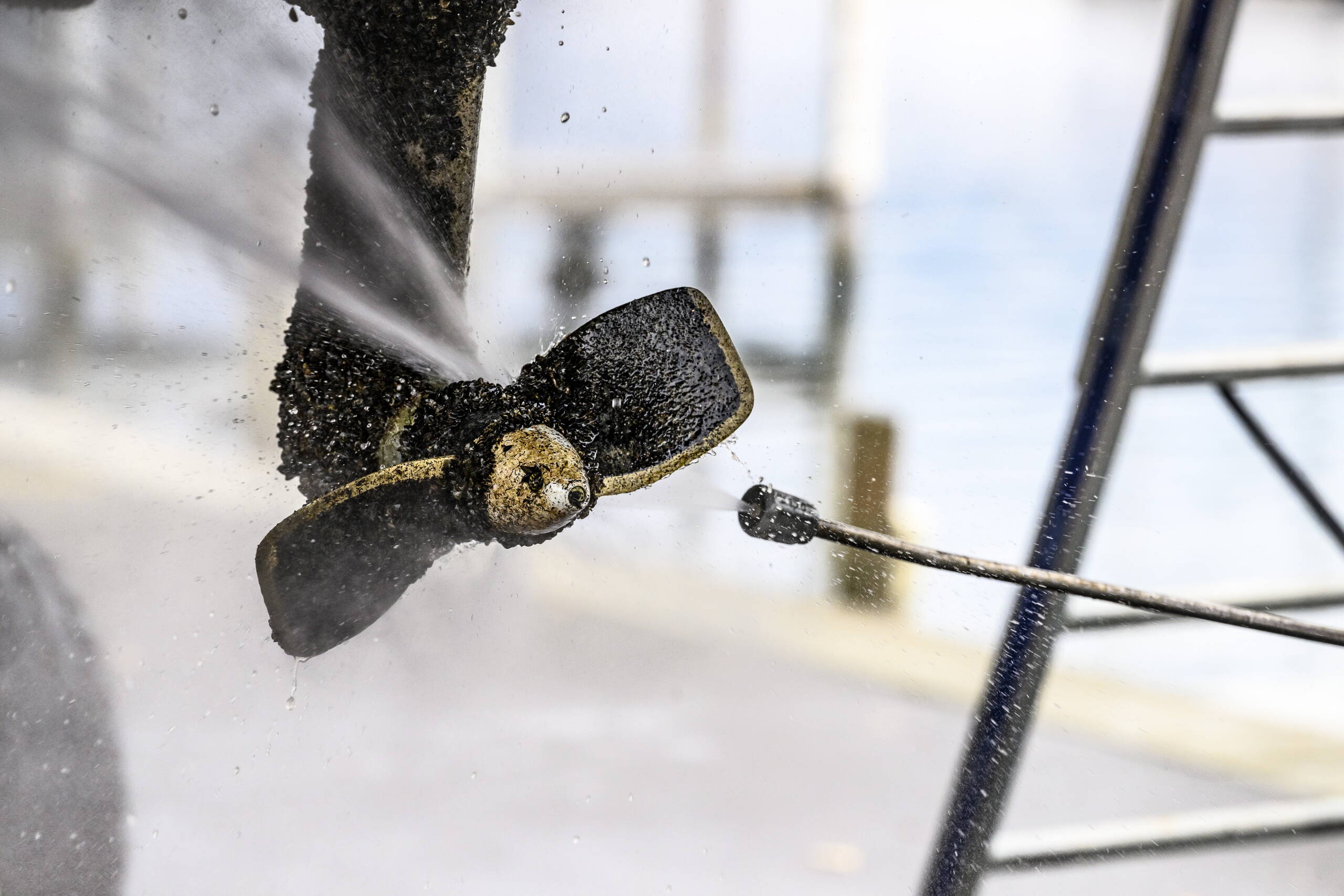 ab241111-n-123.jpg Zoom: ab241111-n-123.jpg